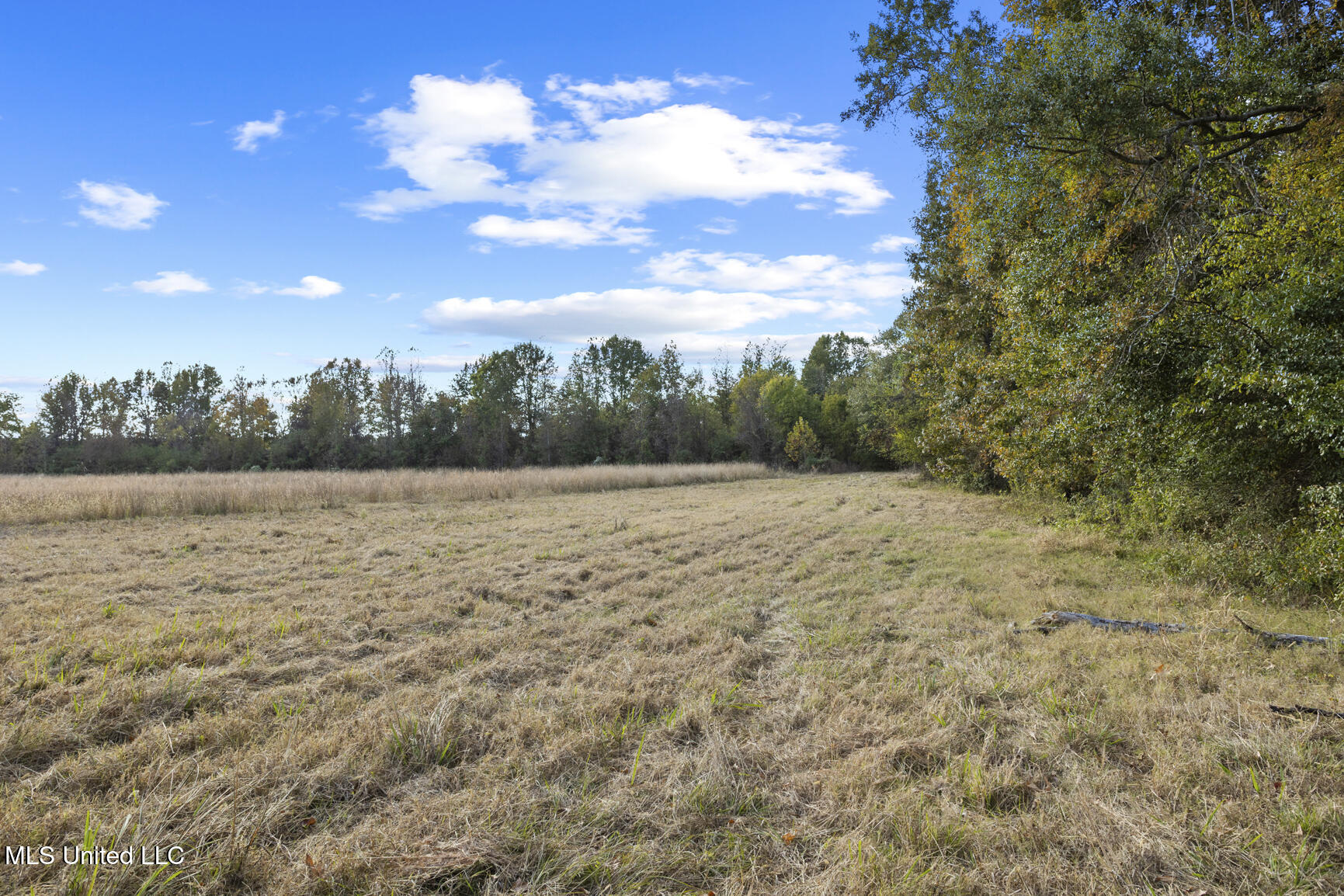 Catlett Road Madison, MS 39110 - Photo 22 of 36 Catlett Rd-2