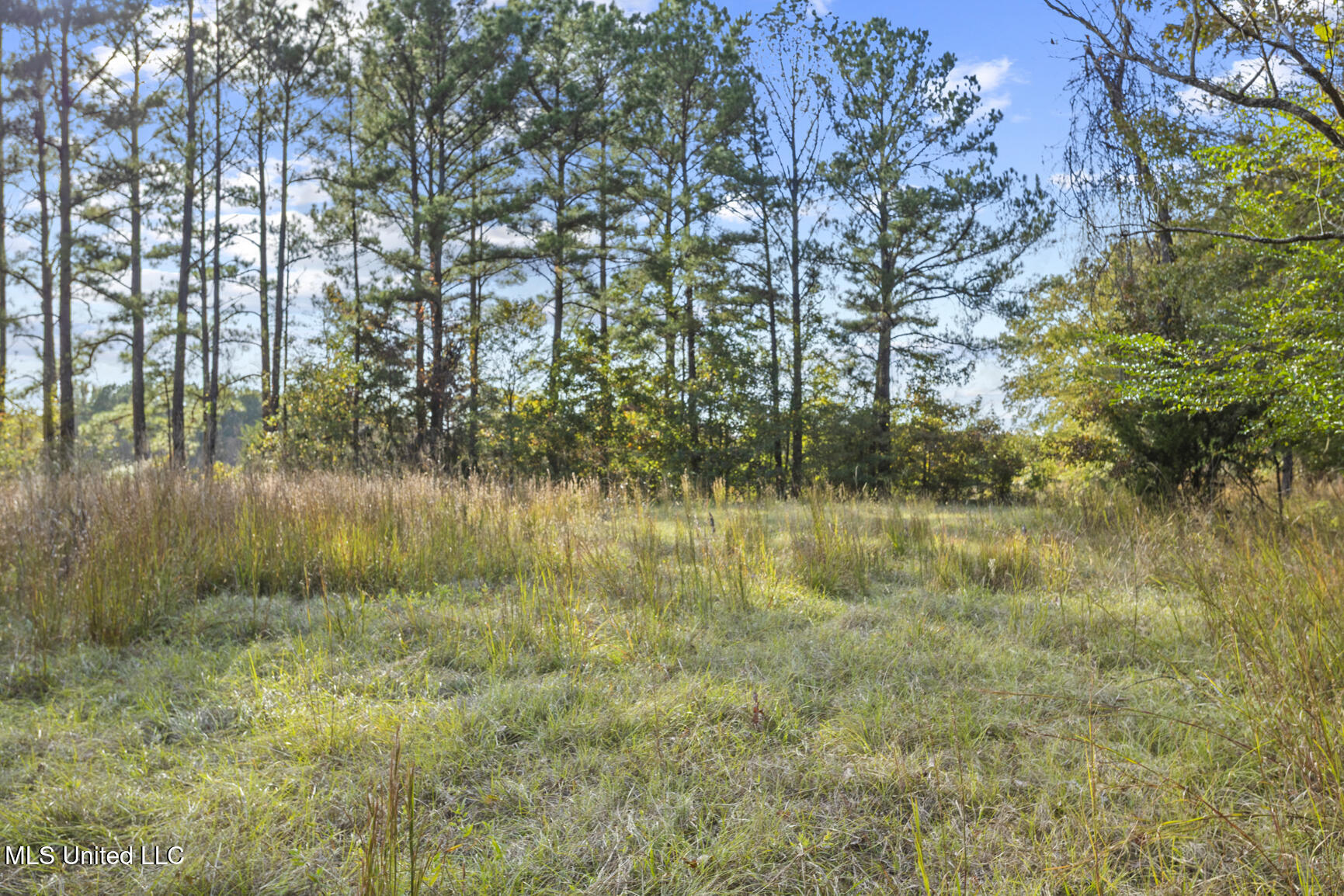 Catlett Road Madison, MS 39110 - Photo 23 of 36 Catlett Rd-8