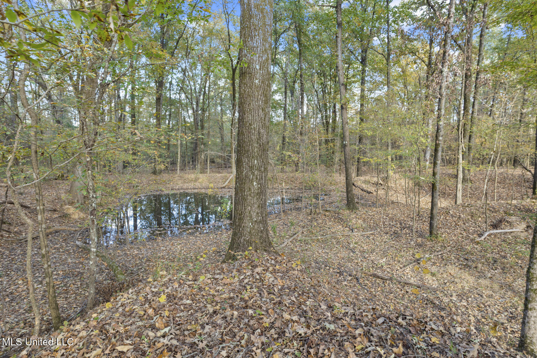 Catlett Road Madison, MS 39110 - Photo 27 of 36 Catlett Rd-10