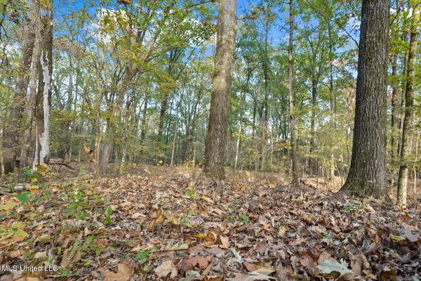 $2,040,775 | Catlett Road, Madison, MS 39110
