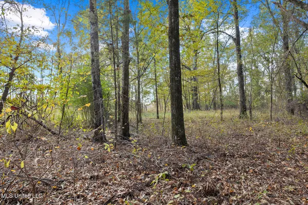 $2,040,775 | Catlett Road, Madison, MS 39110