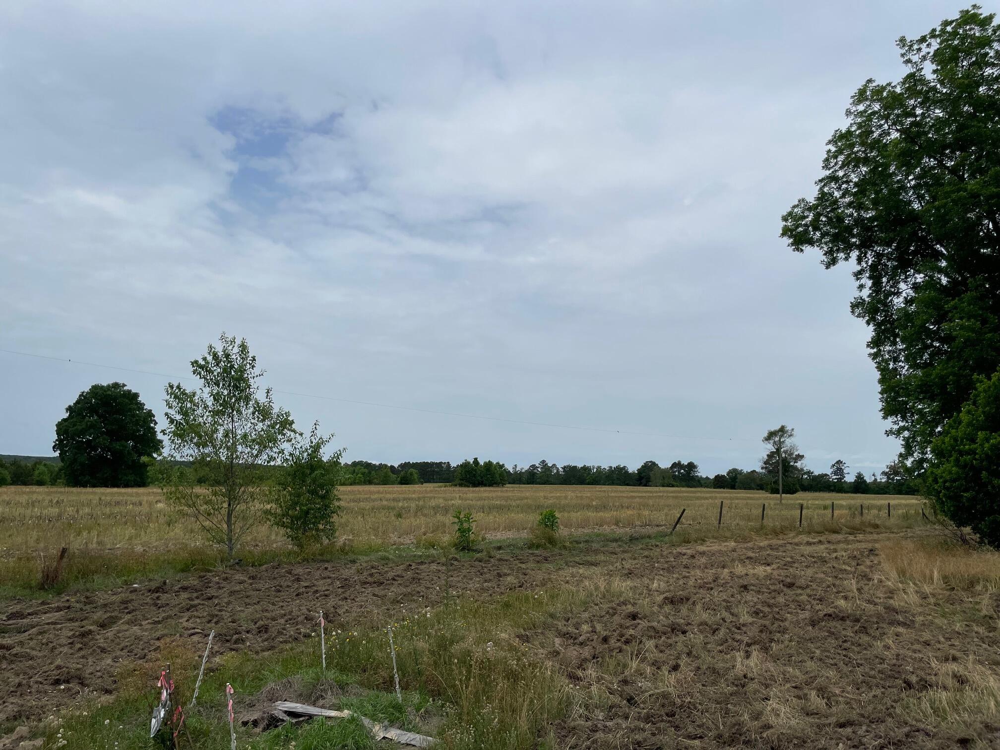 Tbd Blackville Road Gaston, SC 29053 - Photo 5 of 5