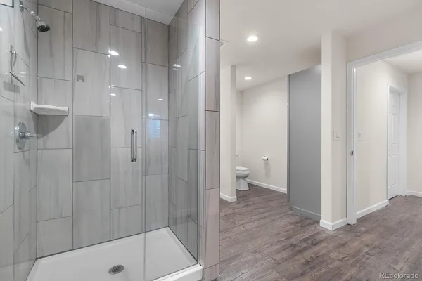 a bathroom with a shower and a toilet
