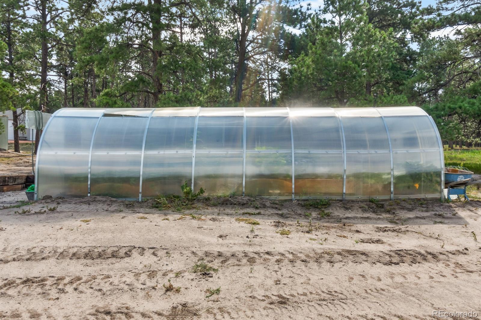 11374 Ridgewood Way Kiowa, CO 80117 - Photo 43 of 49