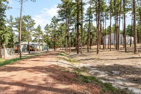 a view of a fountain in the middle of a yard
