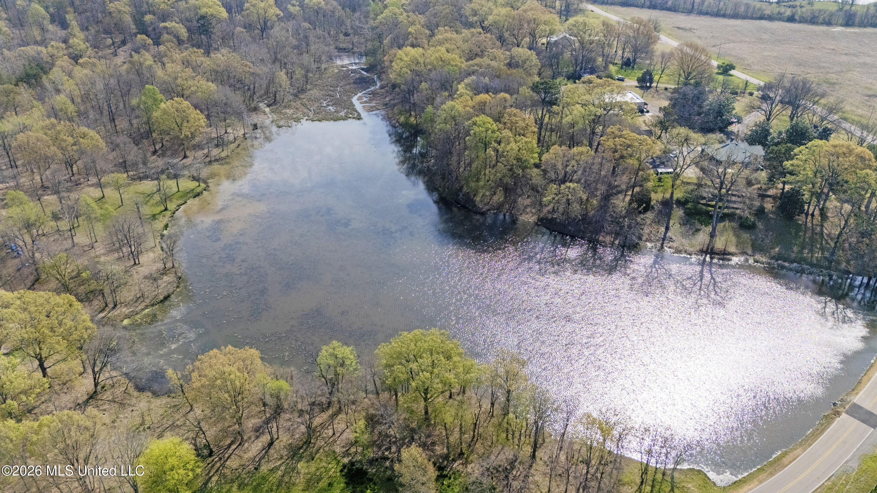 4234 Delta View Road Lake Cormorant, MS 38641 - Photo 25 of 39 dji_20260325103947_0081_d_print