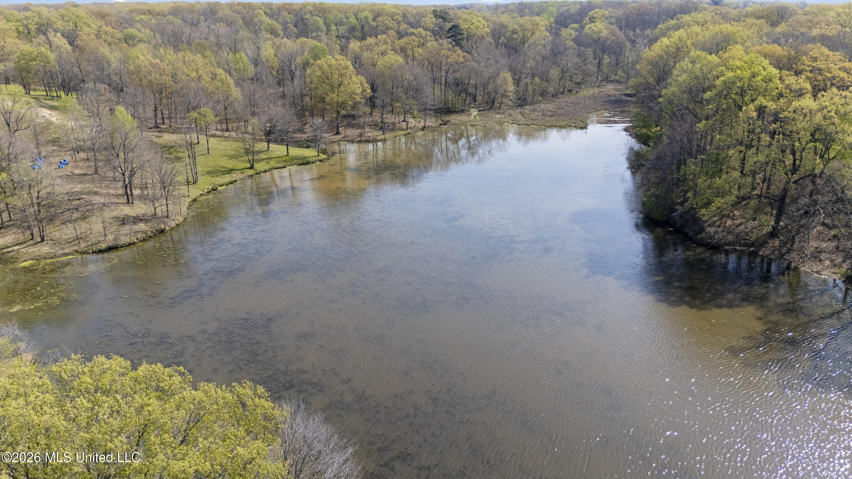 4234 Delta View Road Lake Cormorant, MS 38641 - Photo 3 of 39 dji_20260325104449_0103_d_print