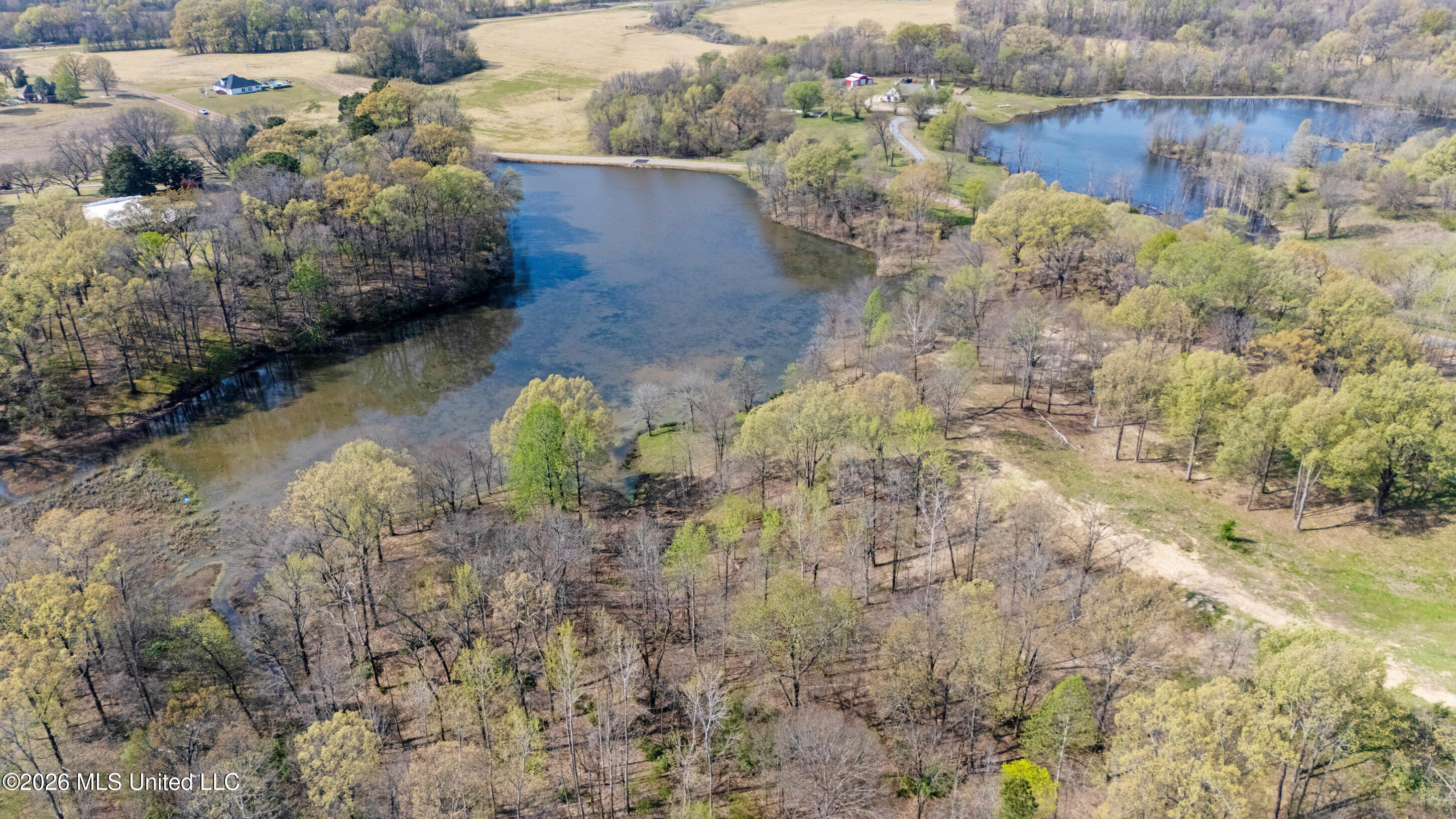 4234 Delta View Road Lake Cormorant, MS 38641 - Photo 38 of 39 dji_20260325105142_0139_d_print.jpg