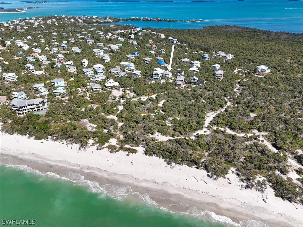 4480 Panama Shell Drive Upper Captiva, FL 33924 - Photo 4 of 50 a view of a yard of a tree