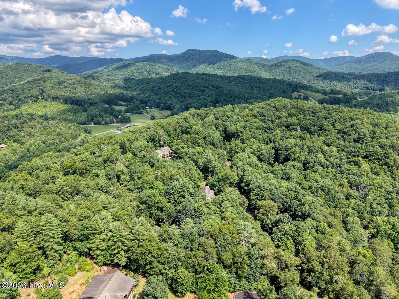16 Souther Ridge Connector Blairsville, GA 30512 - Photo 56 of 60