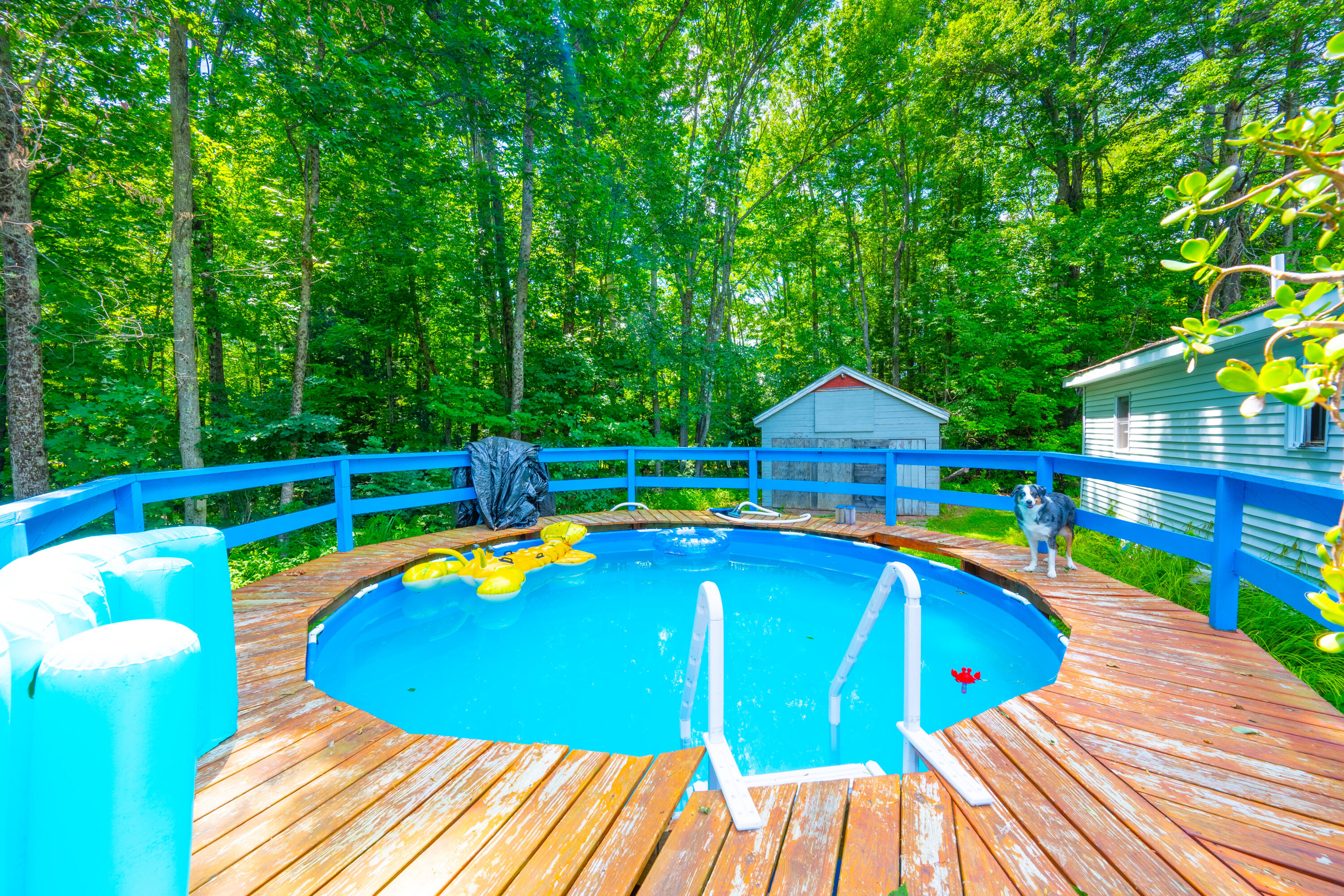 696 Plains Road Mount Vernon, ME 04352 - Photo 5 of 16 IVY_1816-HDR