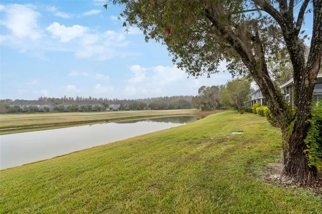 an aerial view of a swimming pool