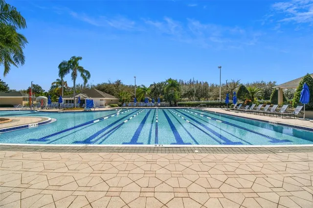 a view of a livingroom with furniture window and wooden floor