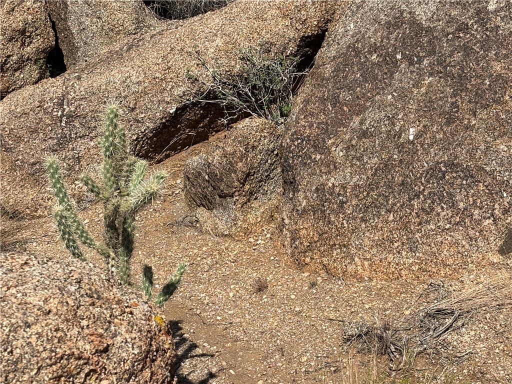 12 South La Cienega Ranch Road Yucca, AZ 86438 - Photo 12 of 32 Other