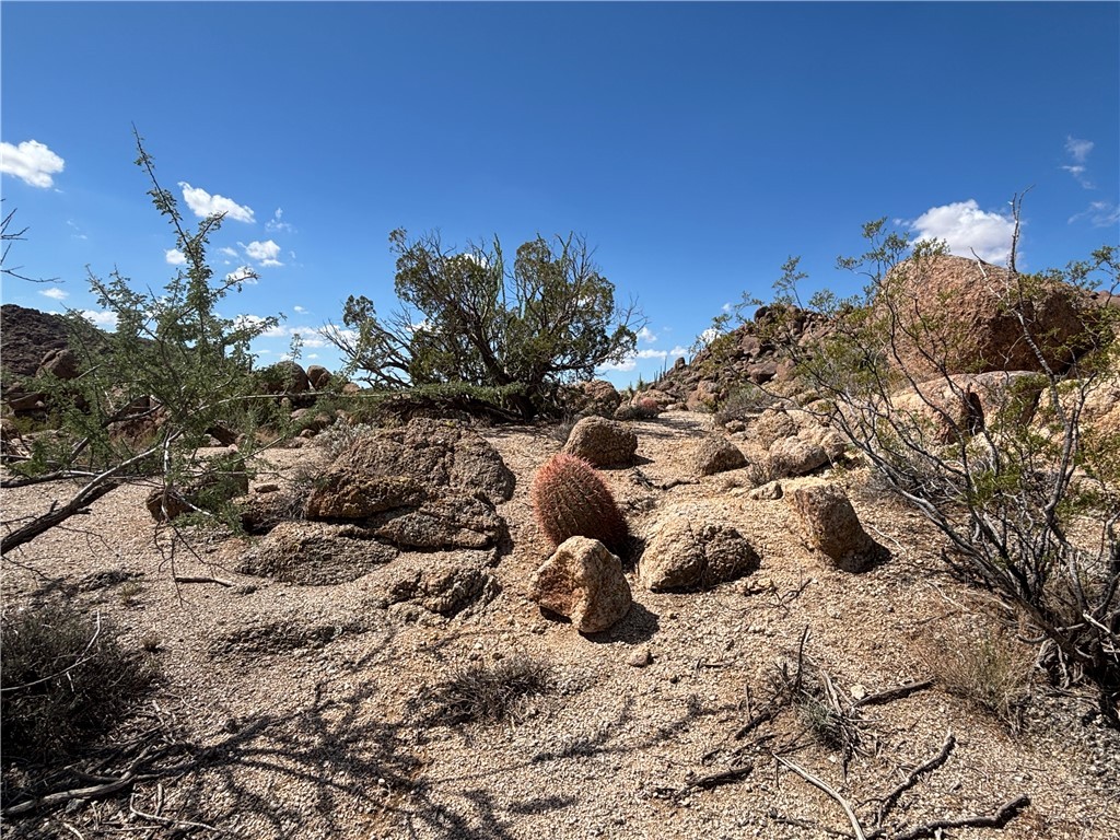 12 South La Cienega Ranch Road Yucca, AZ 86438 - Photo 23 of 32 Other