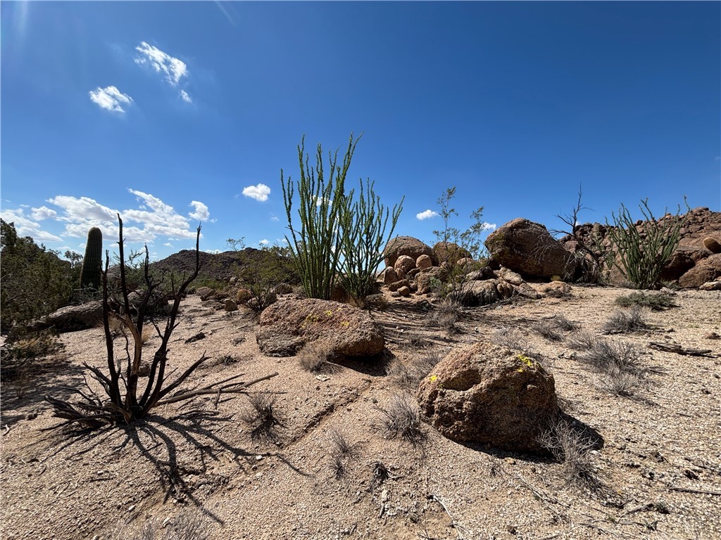 12 South La Cienega Ranch Road Yucca, AZ 86438 - Photo 24 of 32 Other