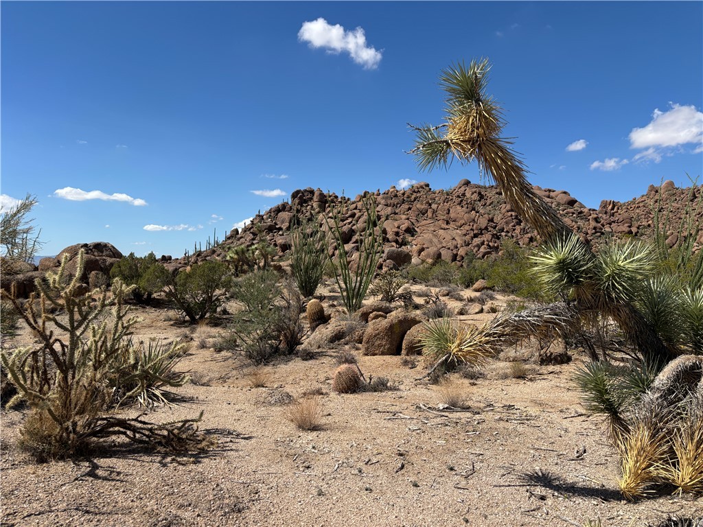 12 South La Cienega Ranch Road Yucca, AZ 86438 - Photo 25 of 32 View