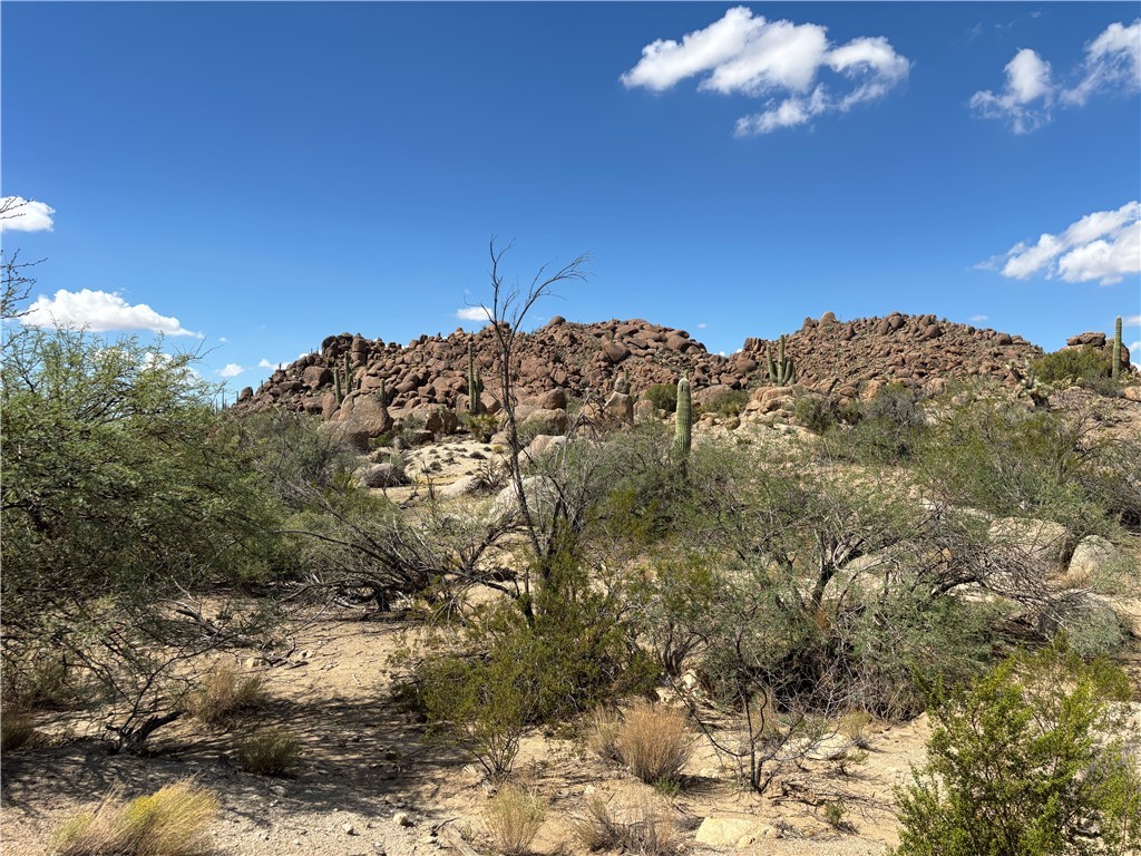 12 South La Cienega Ranch Road Yucca, AZ 86438 - Photo 28 of 32 View