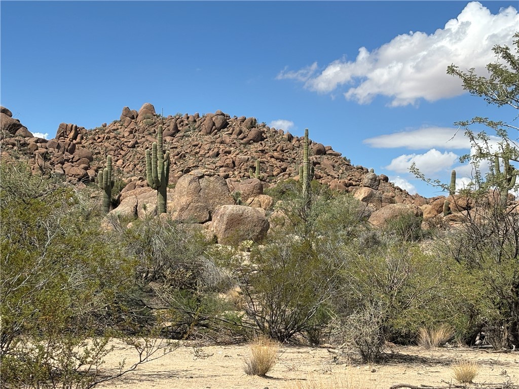 12 South La Cienega Ranch Road Yucca, AZ 86438 - Photo 29 of 32 View