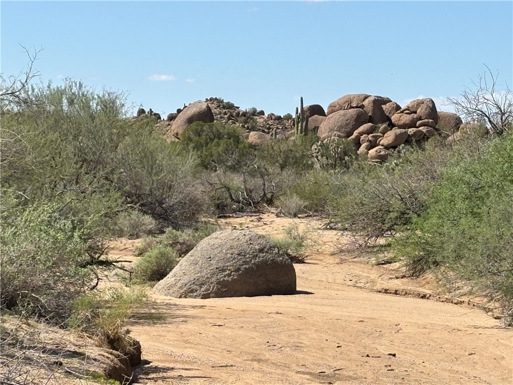 12 South La Cienega Ranch Road Yucca, AZ 86438 - Photo 8 of 32 Other