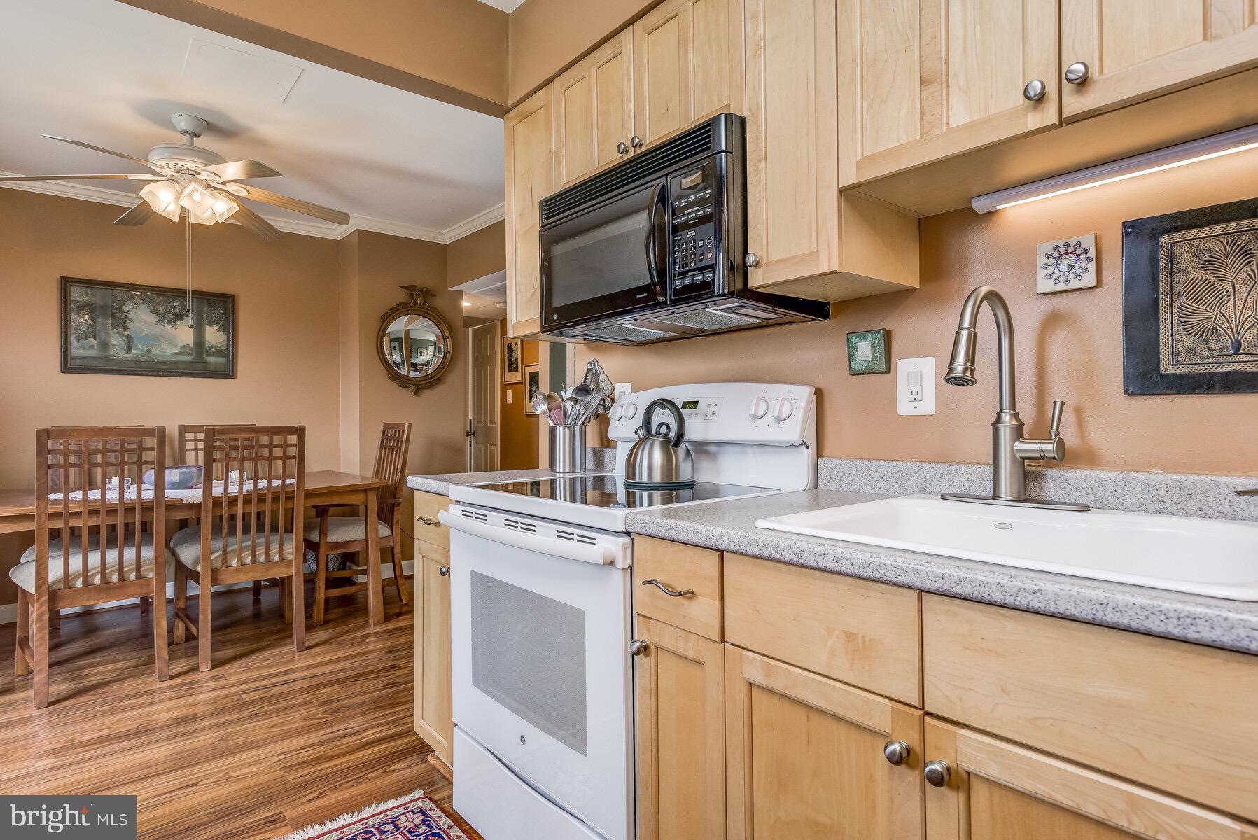 17816 Buehler Road, Unit 166 Olney, MD 20832 - Photo 16 of 38 Large sink
