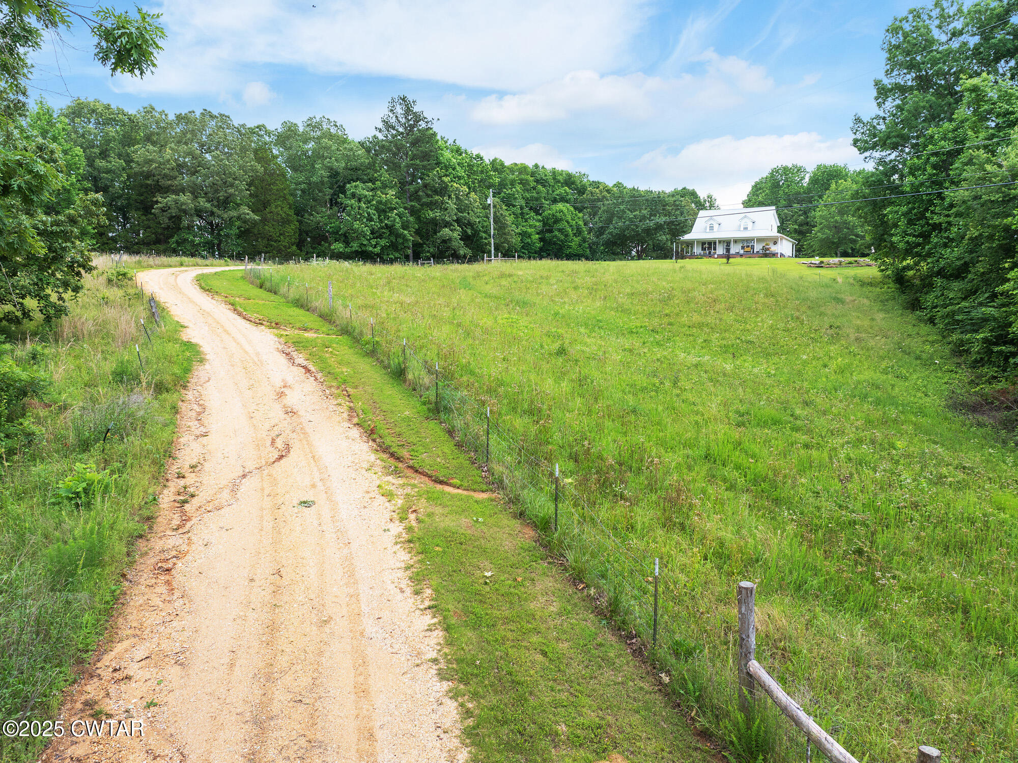 1401 Camper Road Decaturville, TN 38329 - Photo 10 of 40 a view of a yard with an trees
