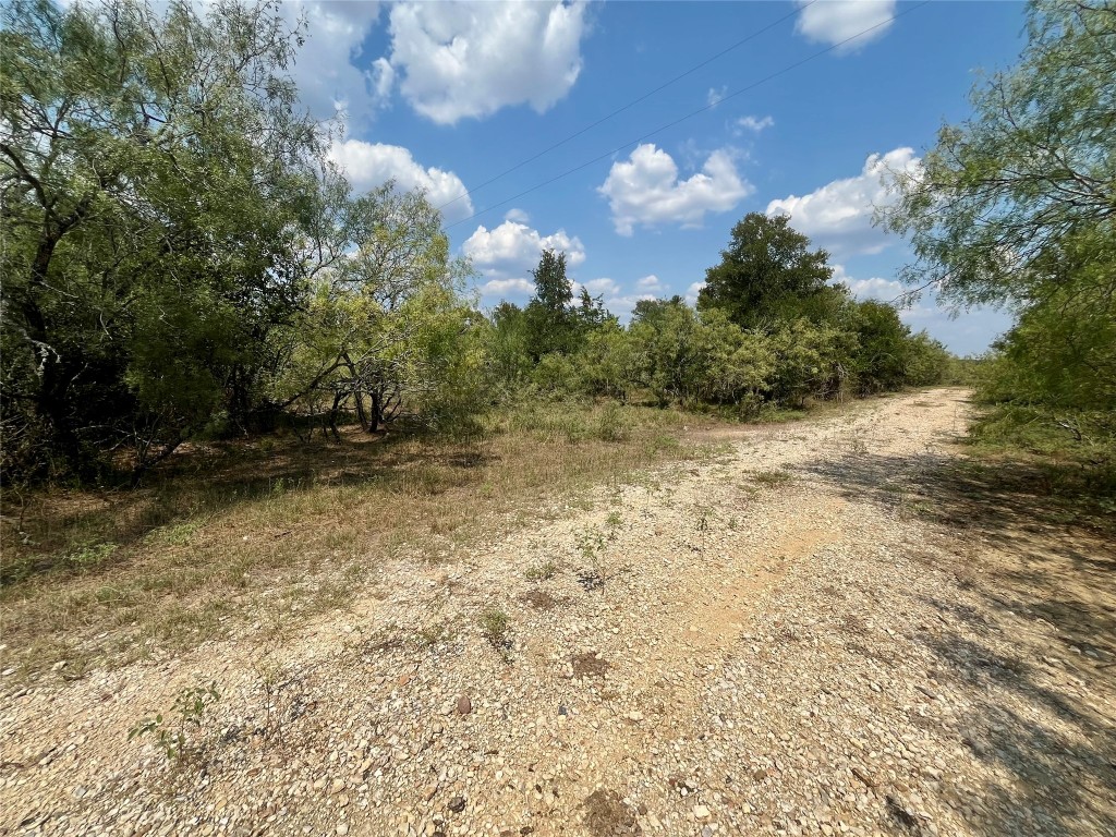 a view of backyard with green space