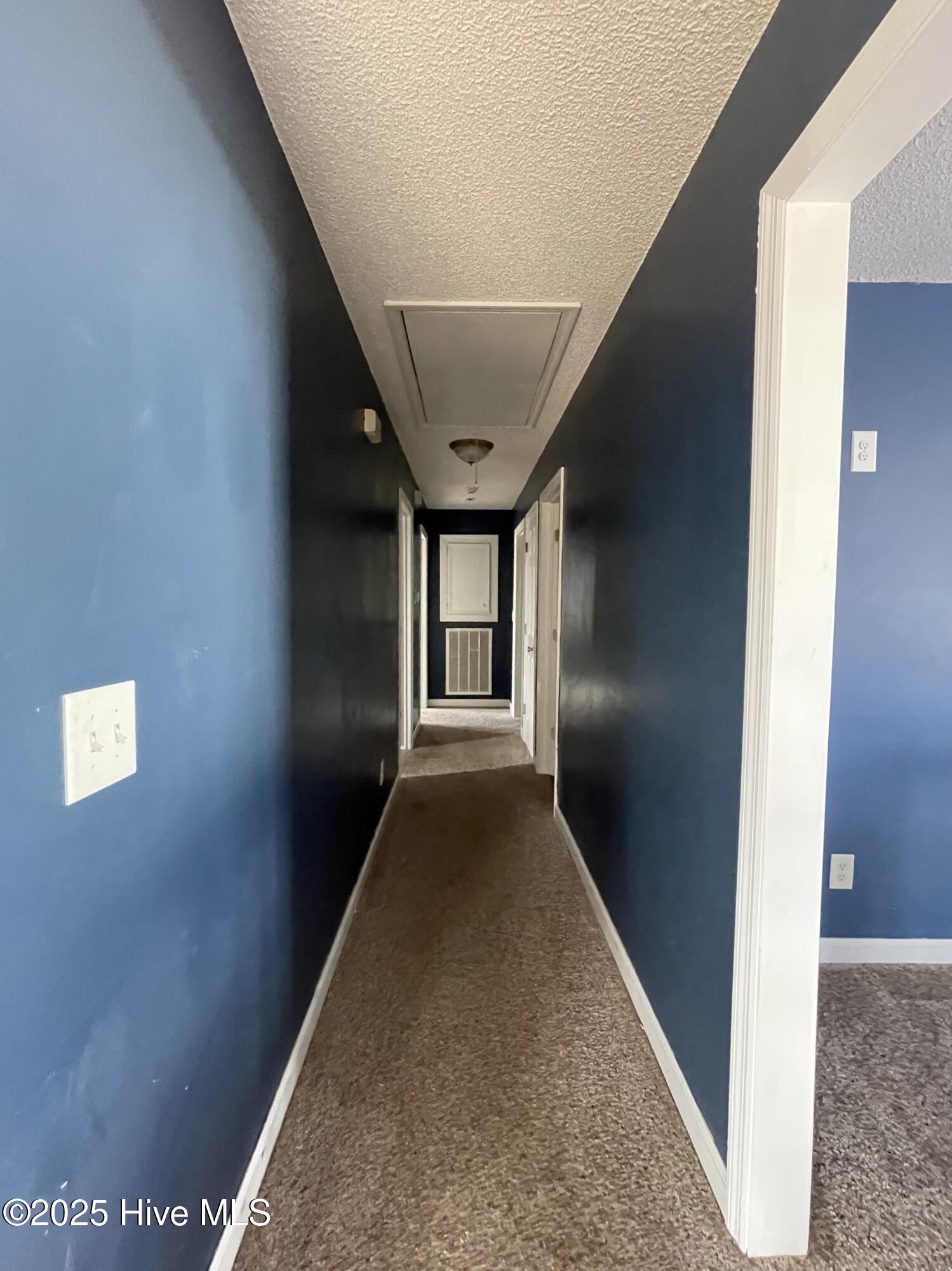 1551 David Rogerson Road Williamston, NC 27892 - Photo 13 of 21 IMG_7923