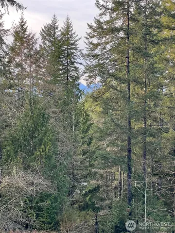 $1,800 | 4731 East Rasor Road, Belfair, WA 98528