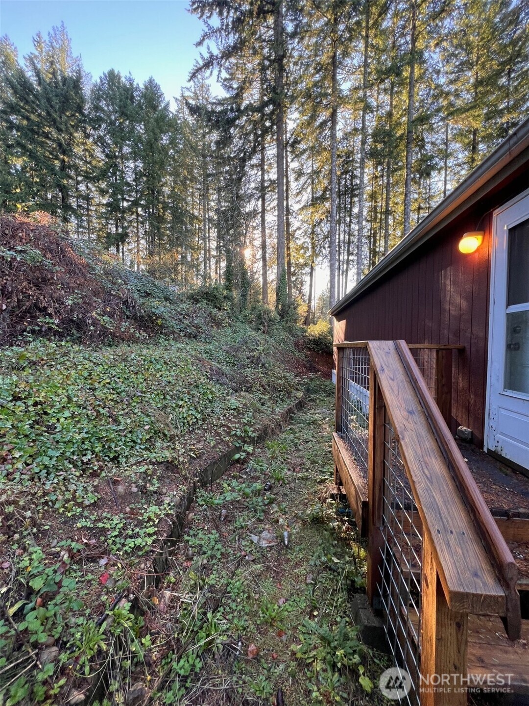 4731 East Rasor Road Belfair, WA 98528 - Photo 6 of 21 a backyard of a house with lots of green space