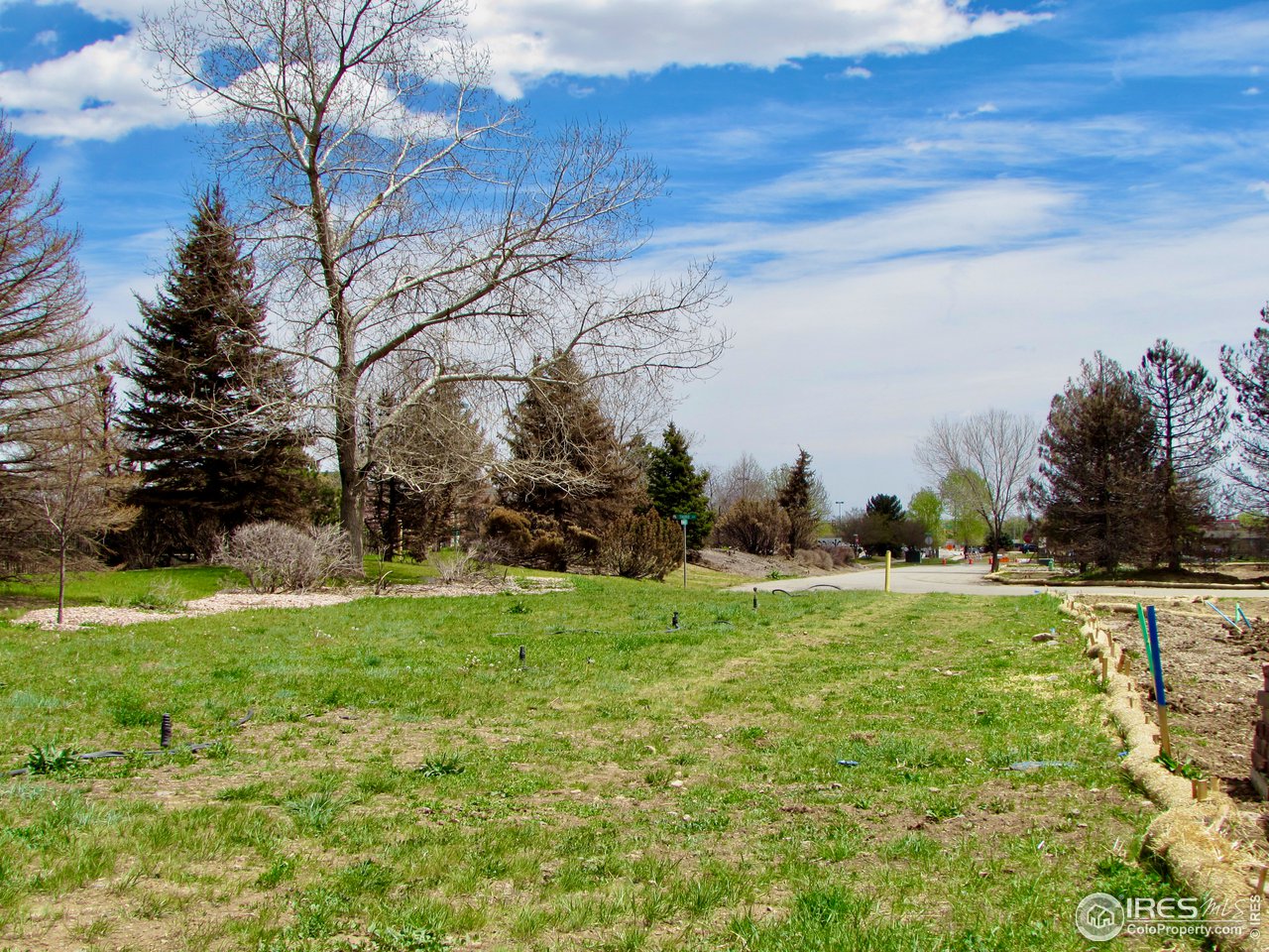 304 West Maple Street Superior, CO 80027 - Photo 11 of 16 a backyard of a house with lots of green space