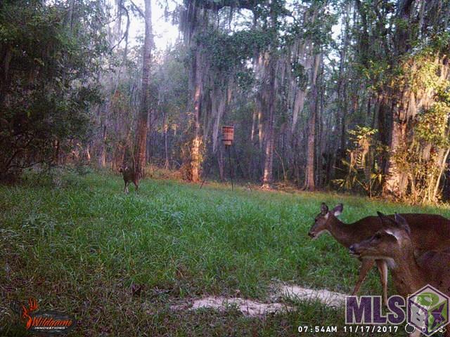 554 Bayou Dularge Road Houma, LA 70363 - Photo 31 of 32 Gallery Image 31