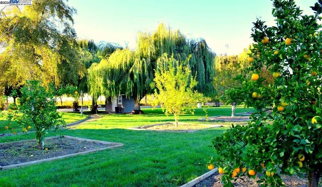 $7,380,000 | 6740 Balfour Road, Brentwood, CA 94513