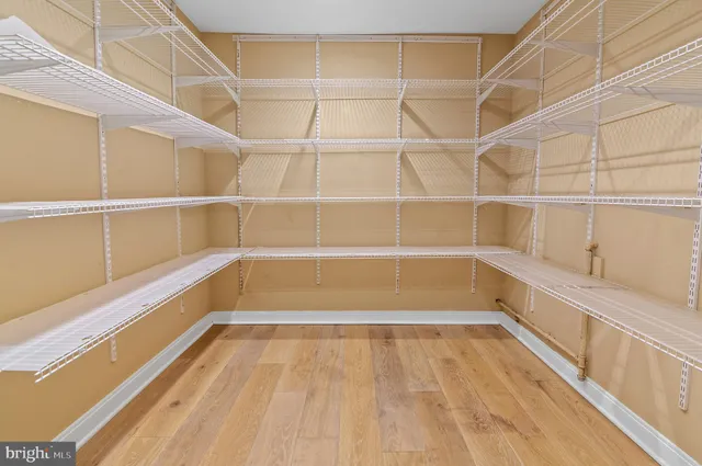 a view of an empty walk in closet