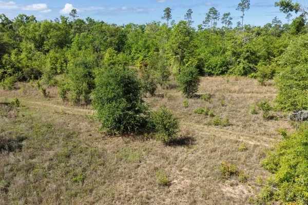 $139,900 | Vacant Northeast Vacant Ne Cedar Trail, Pinetta, FL 32350