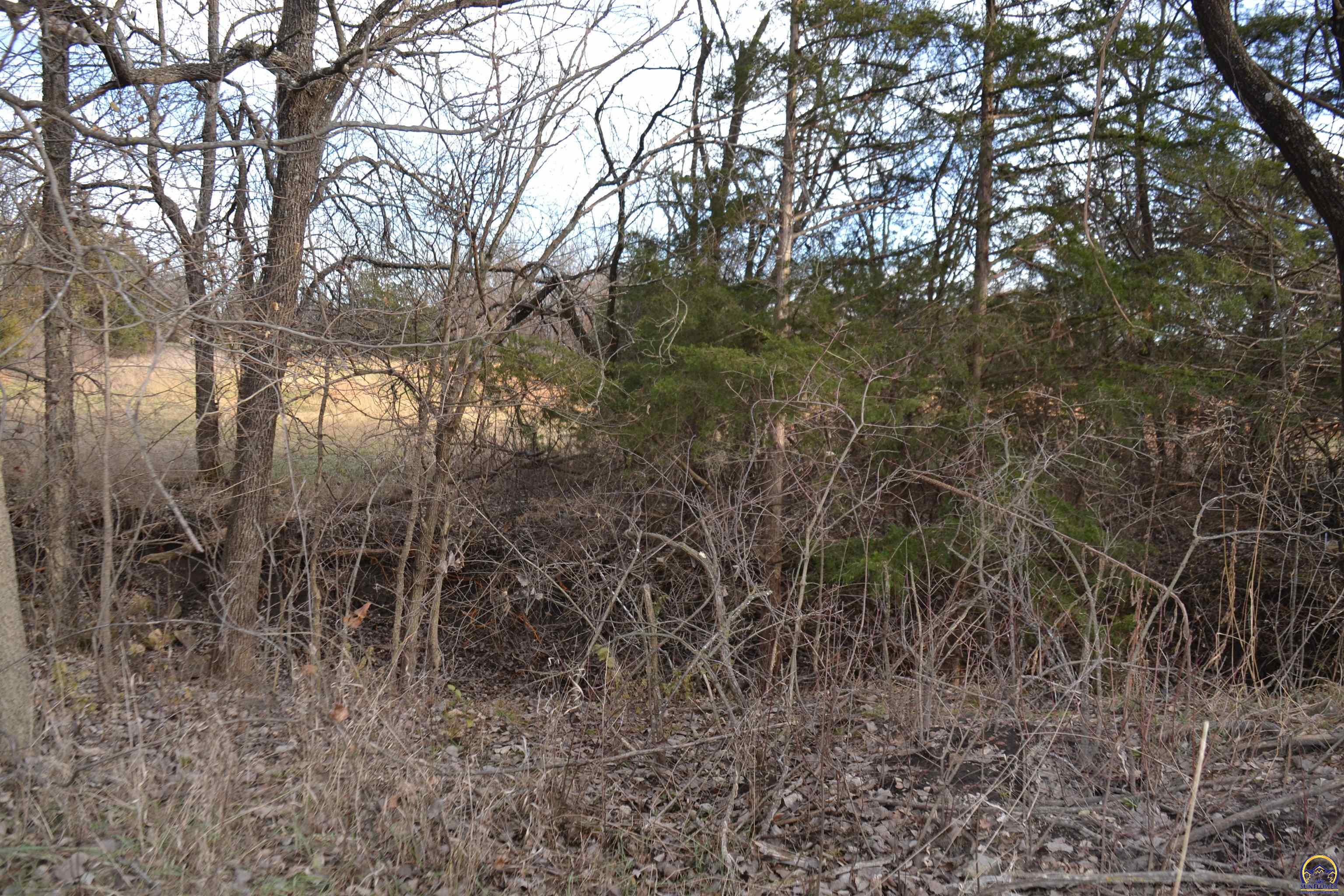 0 Monroe Street Lyndon, KS 66451 - Photo 5 of 8