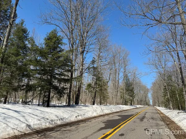 $110,000 | 40-acres Dukes Road, Skandia, MI 49885