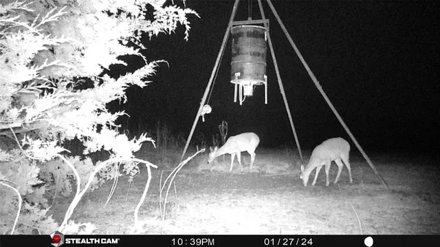 a view of city and ocean