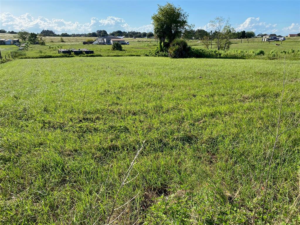 0 Detour Road Dundee, FL 33838 - Photo 1 of 1 Gallery Image 1