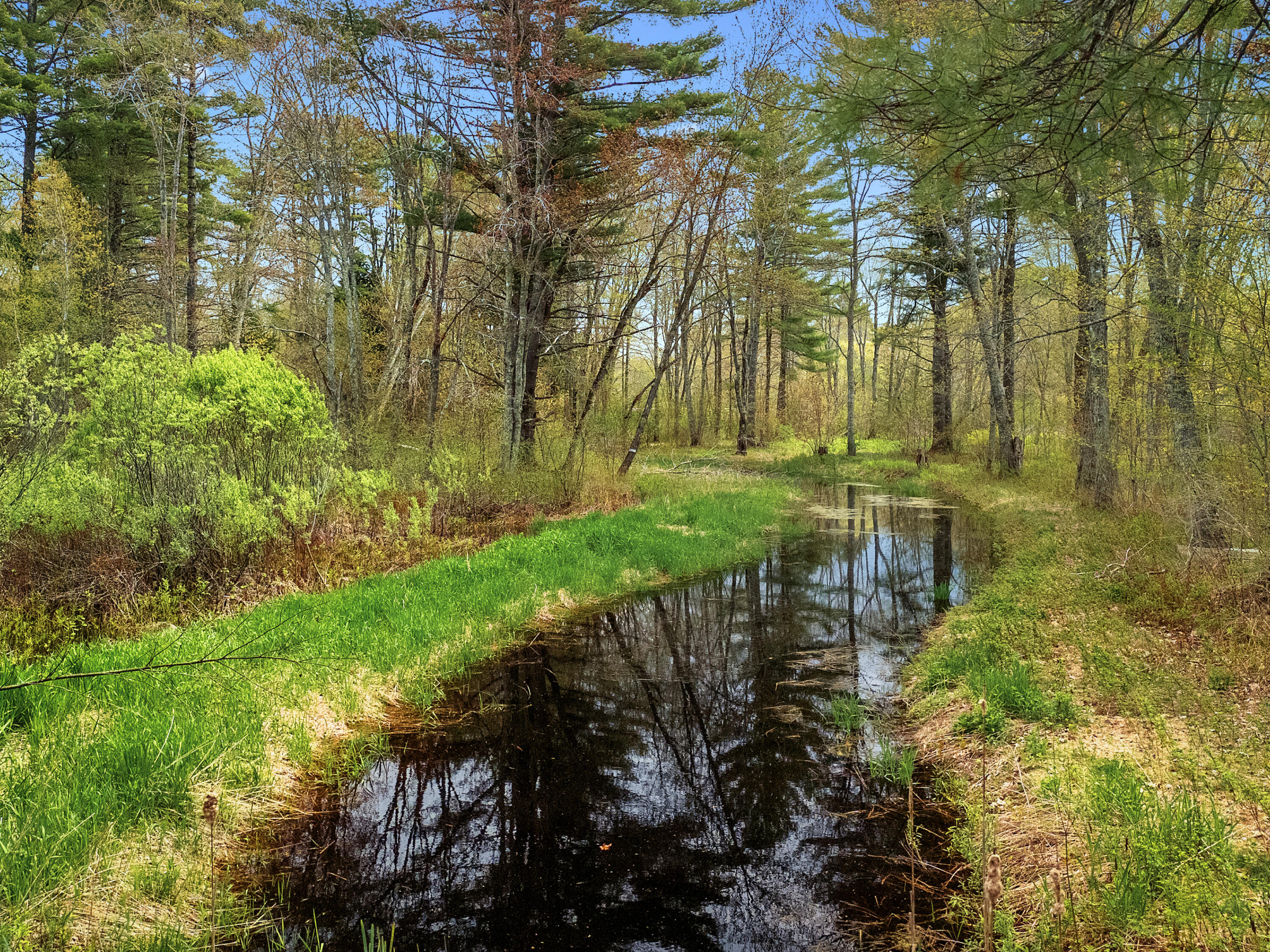 1257 North Pond Road, Unit 2 Warren, ME 04864 - Photo 7 of 39 DJI_20260518113228_0377_D