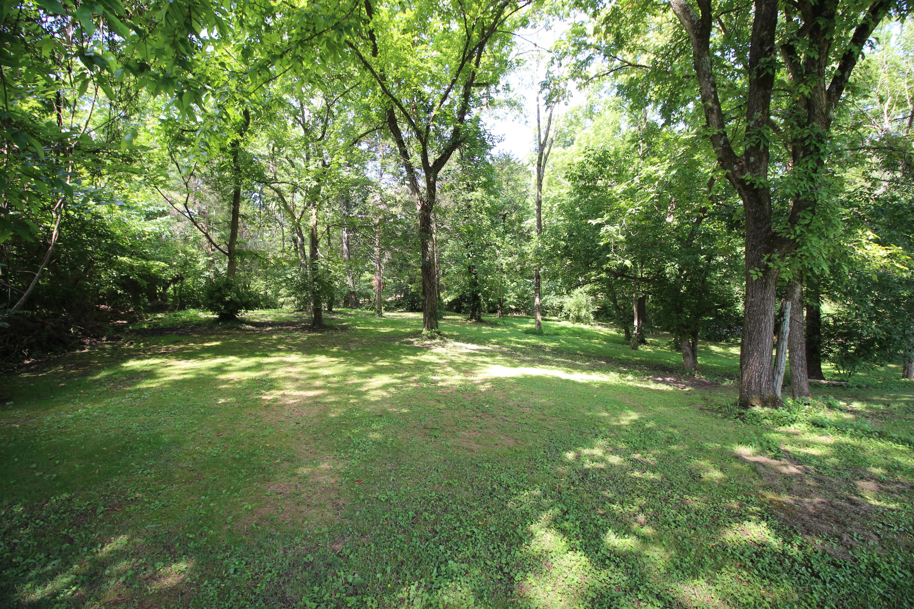1225 Winston Road Irvine, KY 40336 - Photo 55 of 68 Backyard
