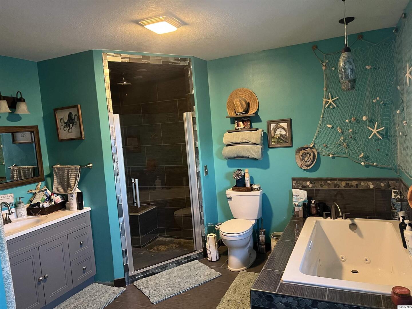 1126 East Co Road 350 Sutter, IL 62373 - Photo 11 of 23 a bathroom with a sink toilet and shower