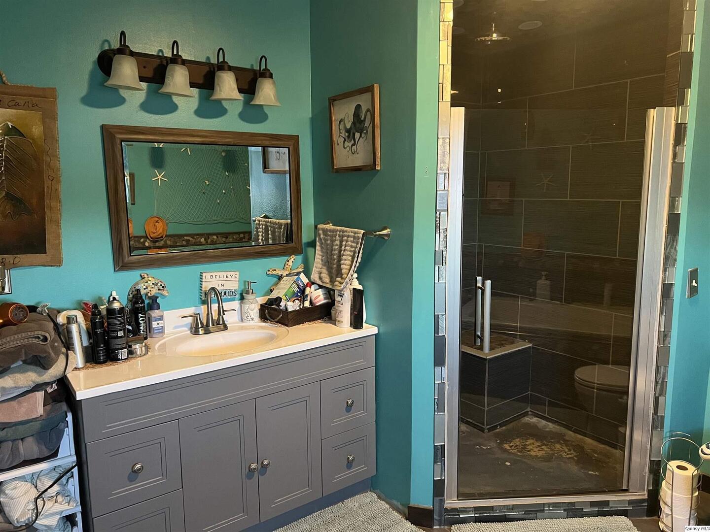 1126 East Co Road 350 Sutter, IL 62373 - Photo 12 of 23 a bathroom with a sink mirror and shower