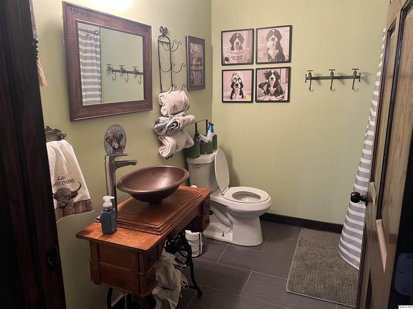 1126 East Co Road 350 Sutter, IL 62373 - Photo 13 of 23 a bathroom with a toilet a sink and a mirror