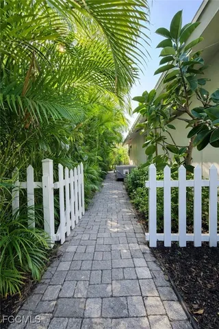 a view of a pathway with plants and large trees