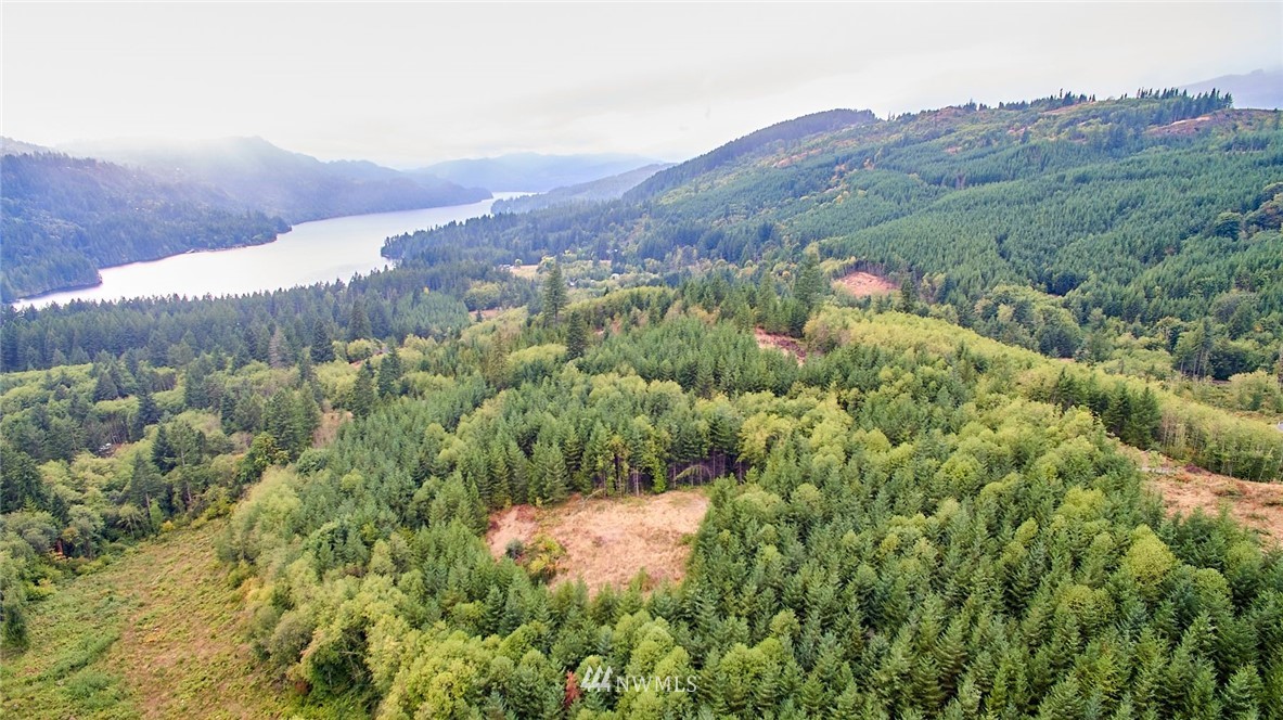 a view of a lush green hillside and a houses