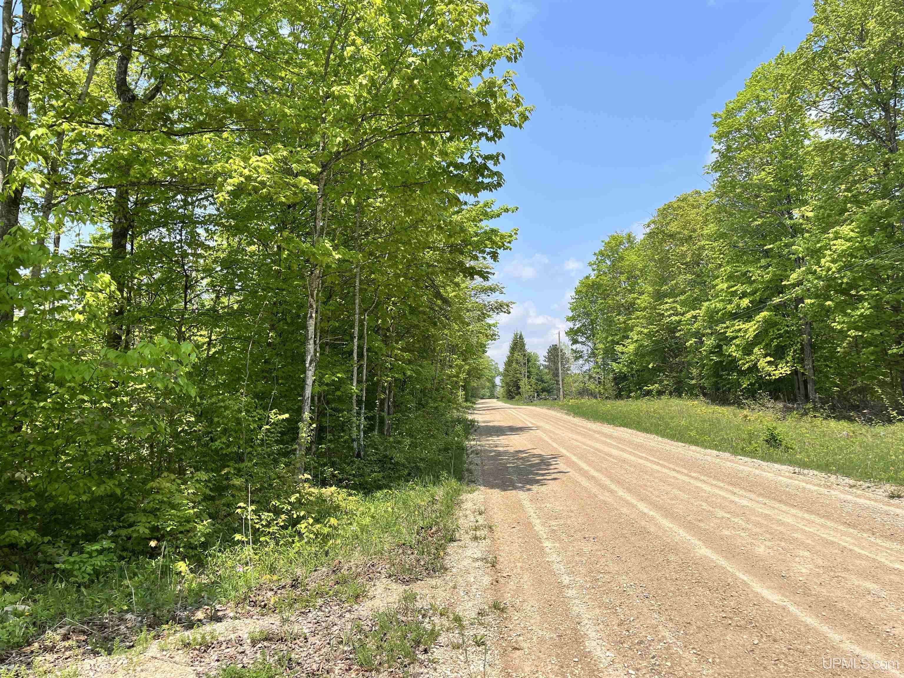 2493 Letson Road Gulliver, MI 49840 - Photo 4 of 56