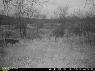 Tbd Miller Ford Road Centertown, MO 65023 - Photo 26 of 36