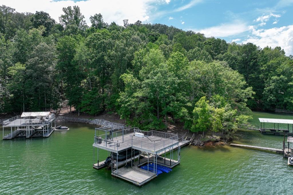 385 Pirkle Leake Road Dawsonville, GA 30534 - Photo 4 of 48