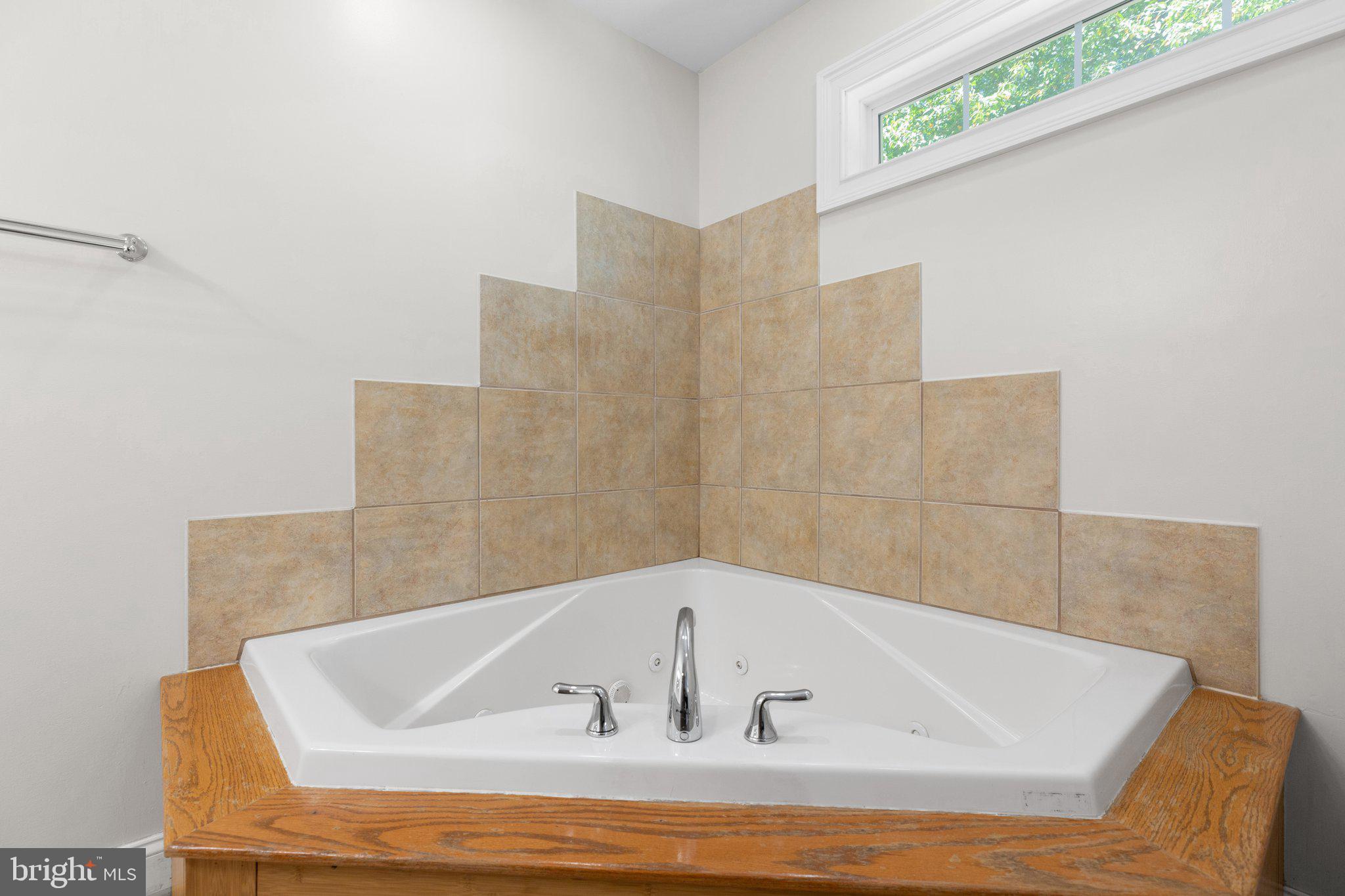 977 Fredericks Hall Road Bumpass, VA 23024 - Photo 19 of 38 Soaking Tub in Primary Bathroom
